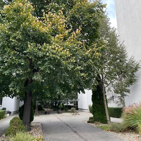 Charming Historic Hideaway Near Center Apartment *